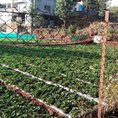 Silver Oak Villa Panchgani Exterior photo
